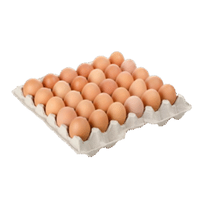 Fresh Protein Co.™ Cage Free Protein Brown Eggs - Pack of 30 Eggs