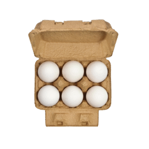 Fresh Protein Co.™ Classic Protein White Eggs - Pack of 6 Eggs
