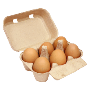 Fresh Protein Co.™ Protein Brown Eggs - Pack of 6 Eggs