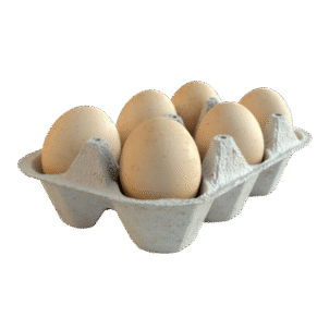 Fresh Protein Co.™ Cage Free Protein Desi Eggs (Country Eggs) - Pack of 6 Eggs