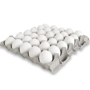 Fresh Protein Co.™ Classic Protein White Eggs - Pack of 30 Eggs